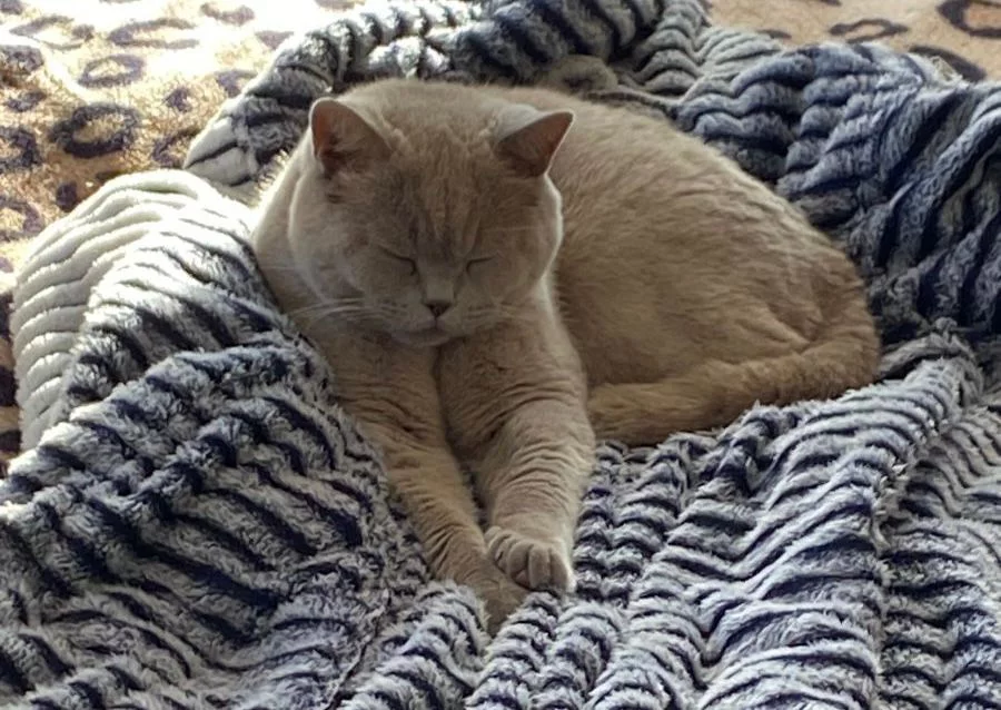 РБК Приморье