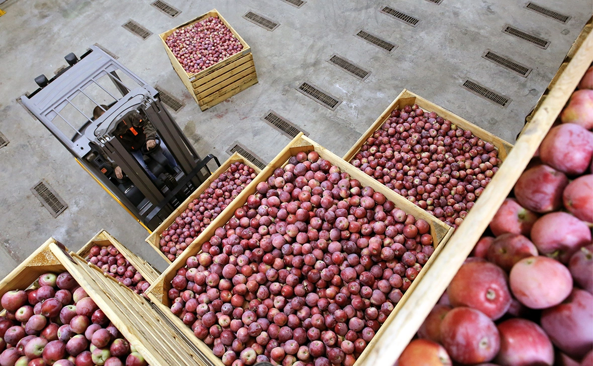 Александр Погожев / ТАСС