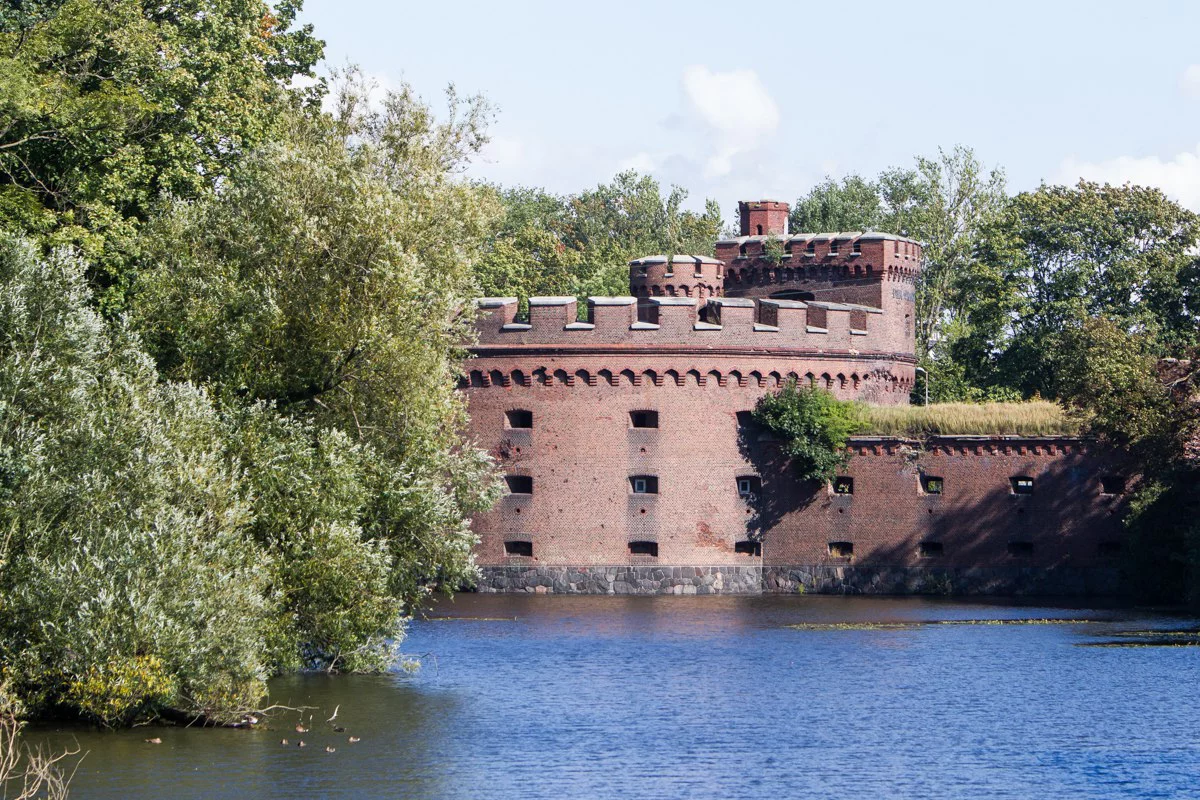 Александр Подгорчук