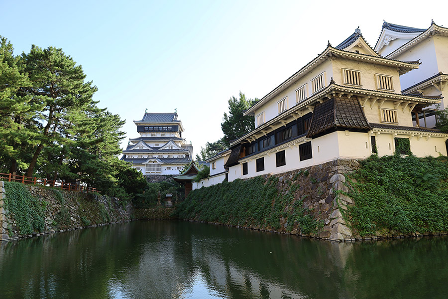 Фото: Saguri Yukio / Fotodom / Shutterstock