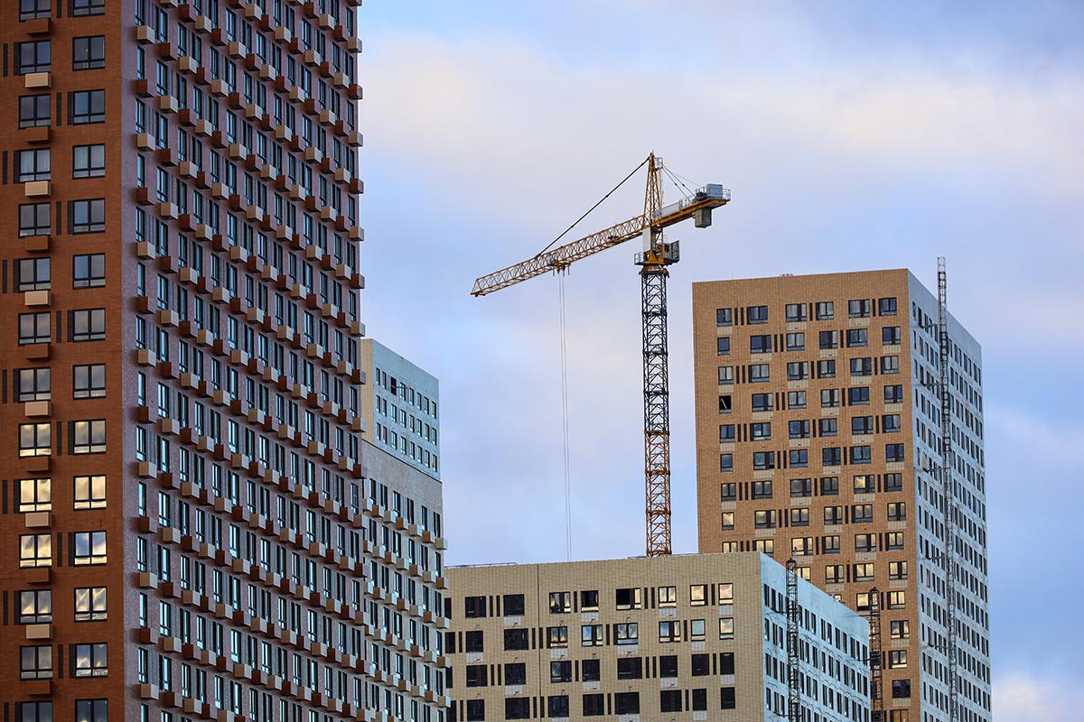 Фото: Oleg Elkov  / Shutterstock / FOTODOM