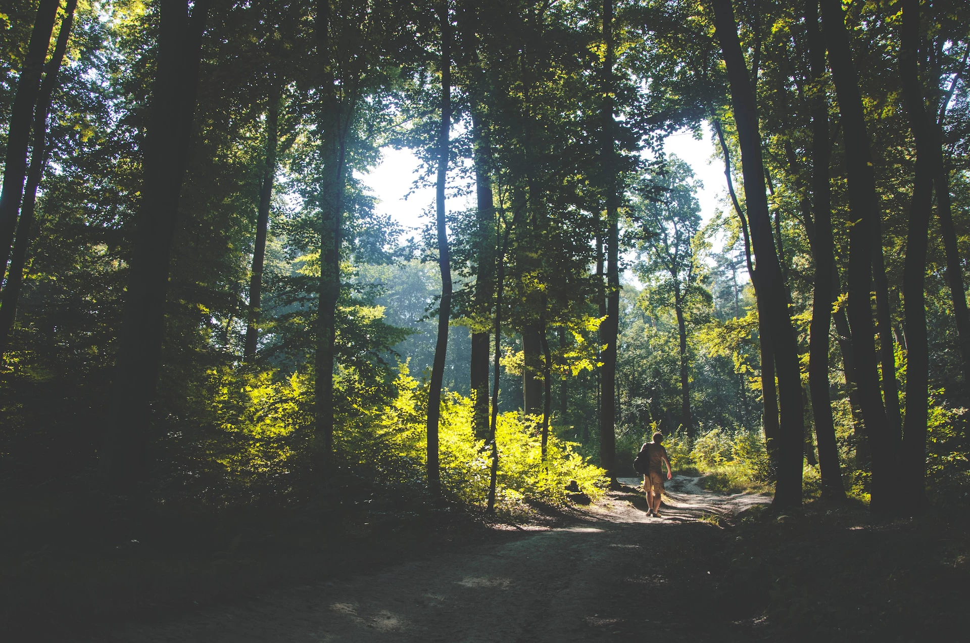 unsplash.com