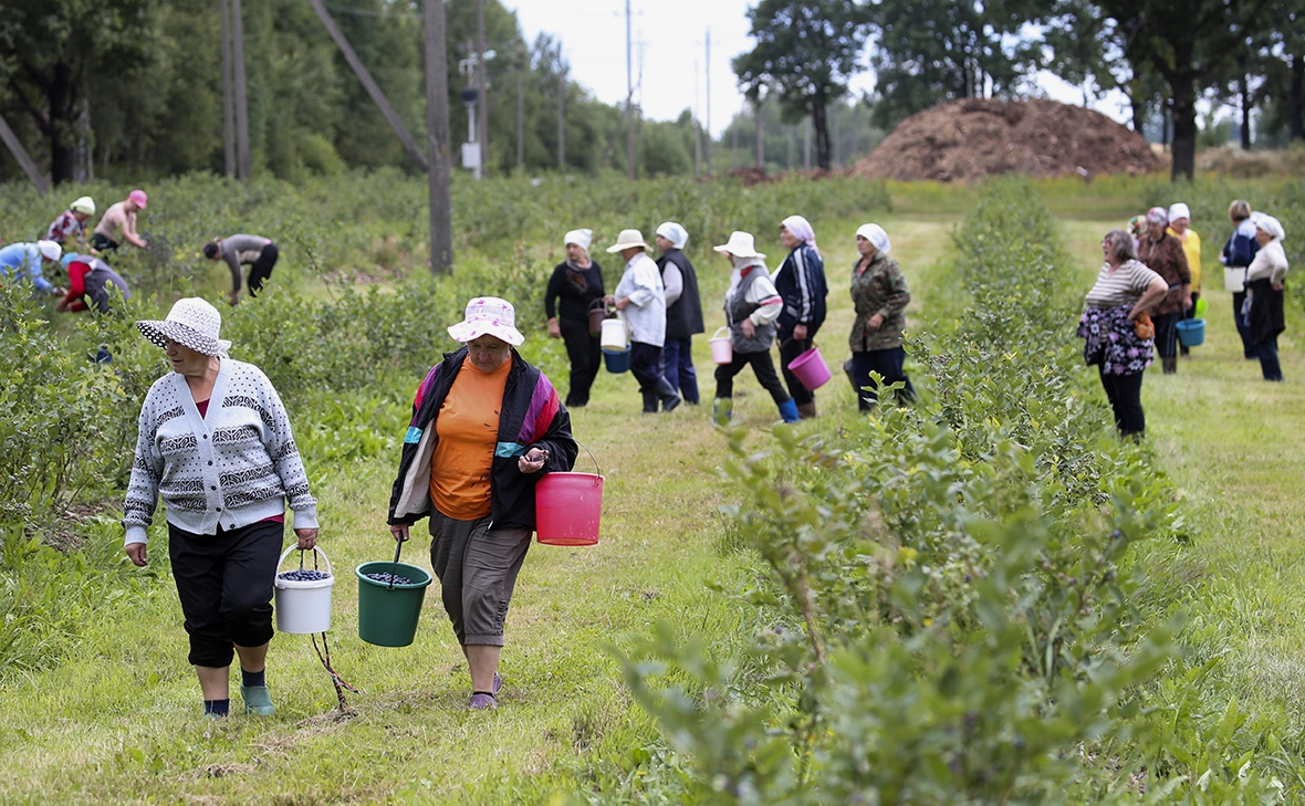 Наталия Федосенко / ТАСС