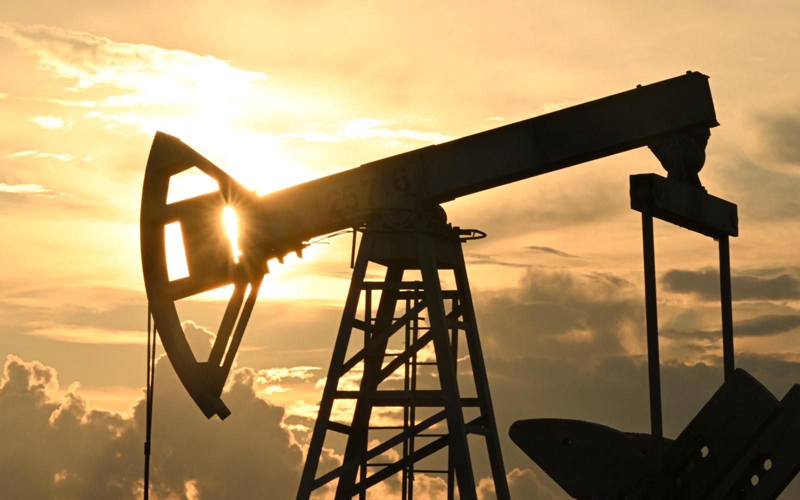 Фото: Максим Богодвид / РИА Новости