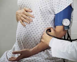 ЗакС Петербурга рассмотрит сегодня законопроект об правах эмбриона