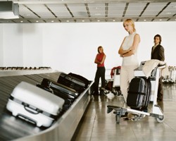 Бабочки, SPA и загс: чем занимают пассажиров лучшие аэропорты мира