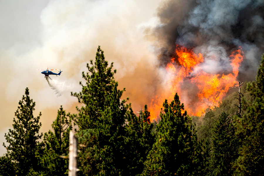 Картинка про пожар в лесу