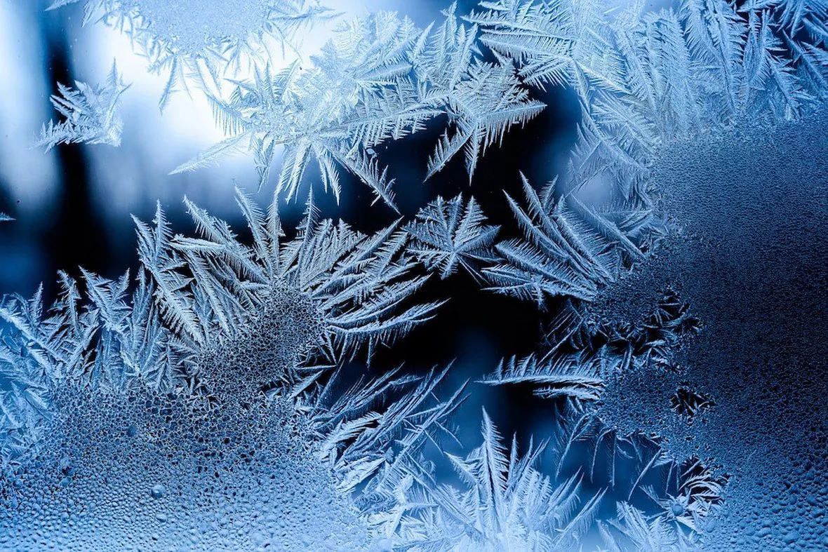 freepik