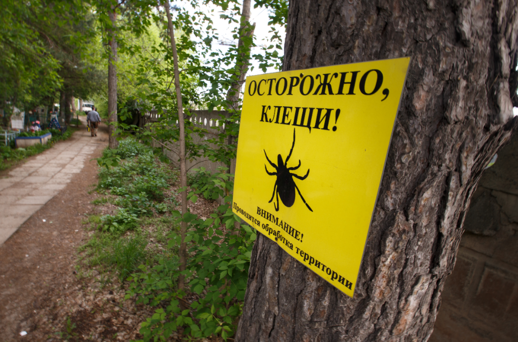 Александр Мамаев / РИА URA.RU