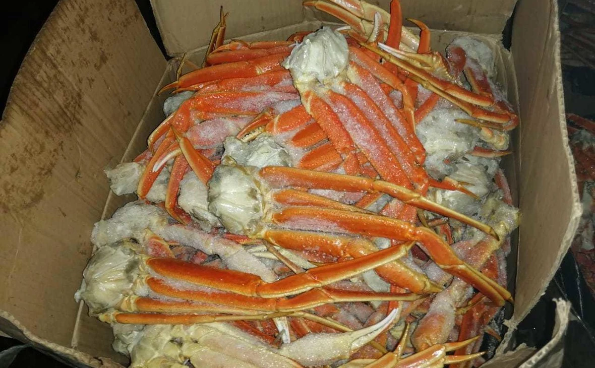 fishnews.ru
