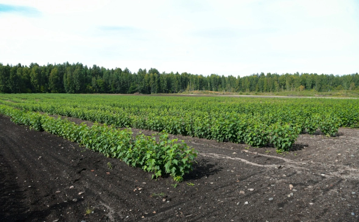 управление пресс-службы главы Республики Карелия