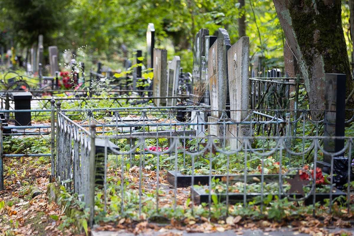 Александр Подгорчук