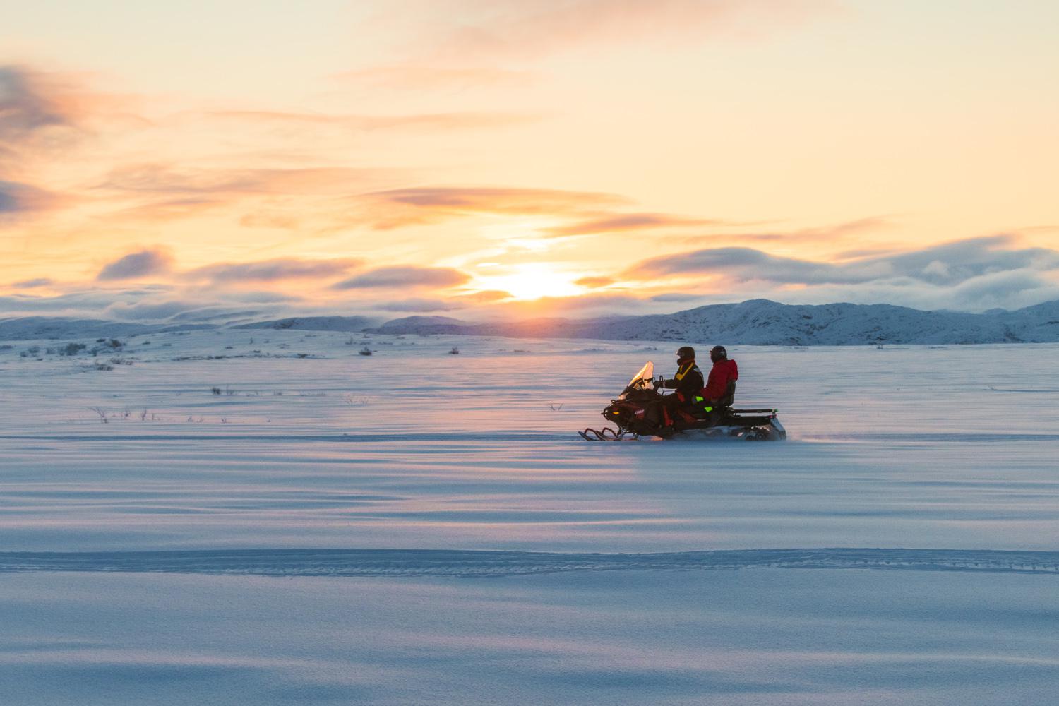 Снегоходное сафари