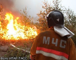 МЧС: В Братске за сутки ликвидировано пять природных пожаров