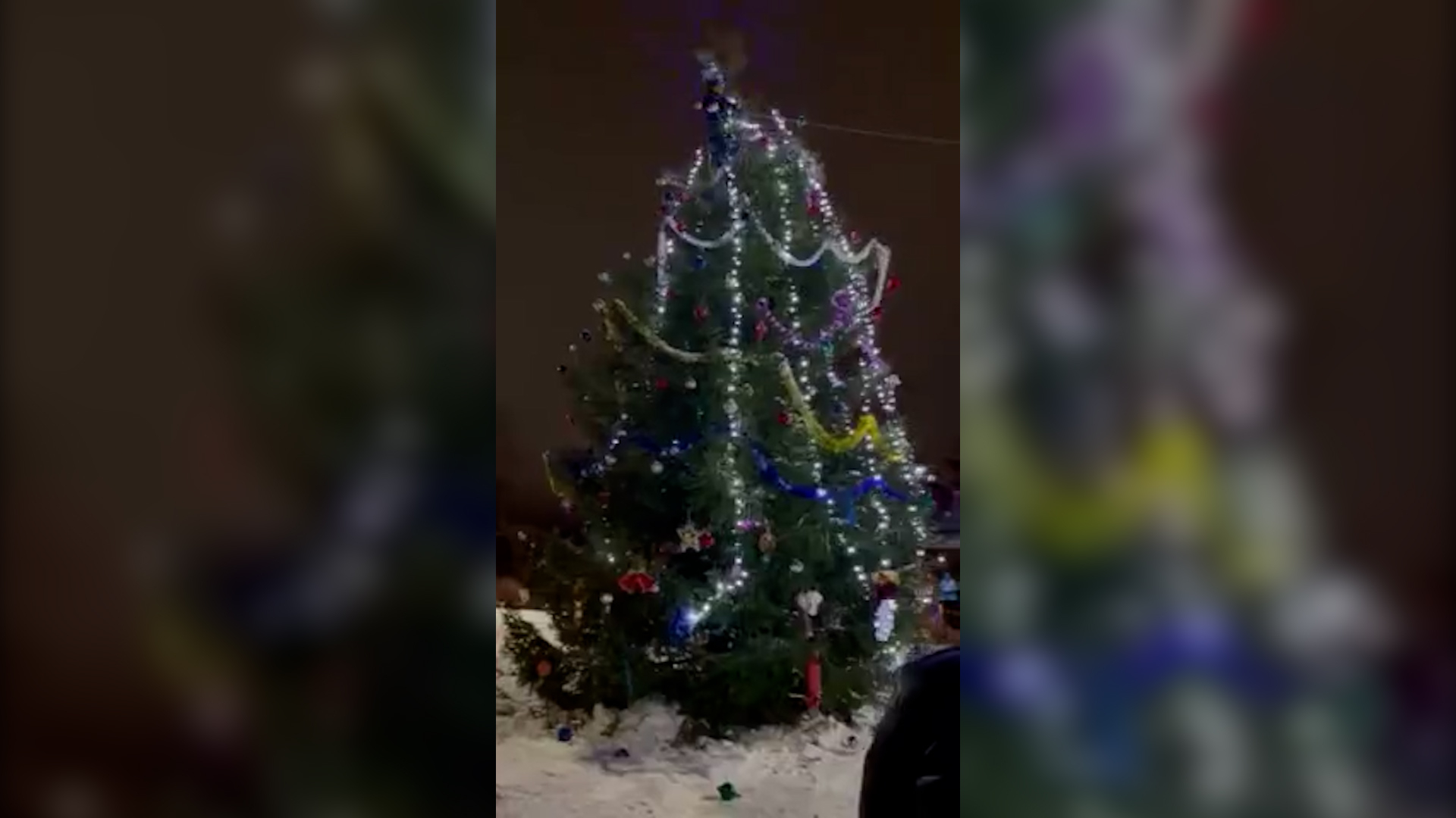В Ярославской области житель залез на елку и упал с украшениями. Видео