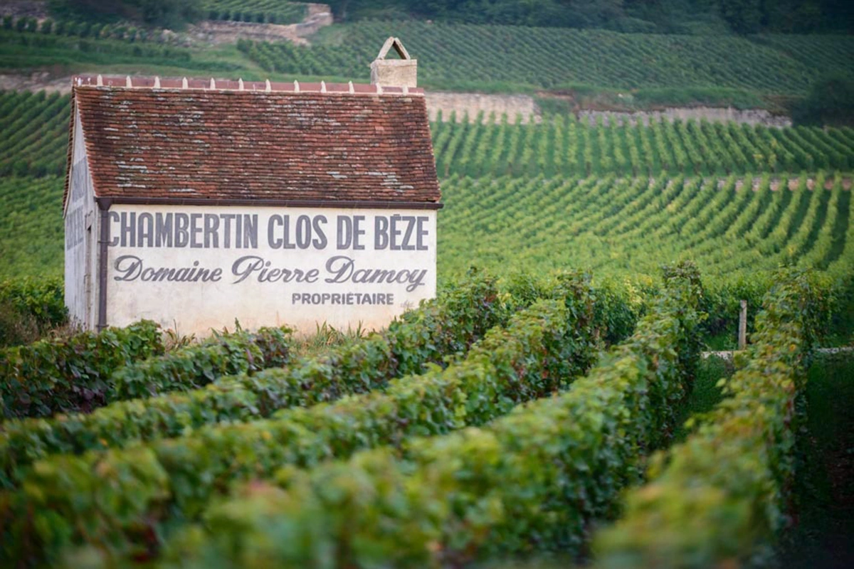 Louis Roederer отказался от виноградников в Бургундии, Шампани и Бордо