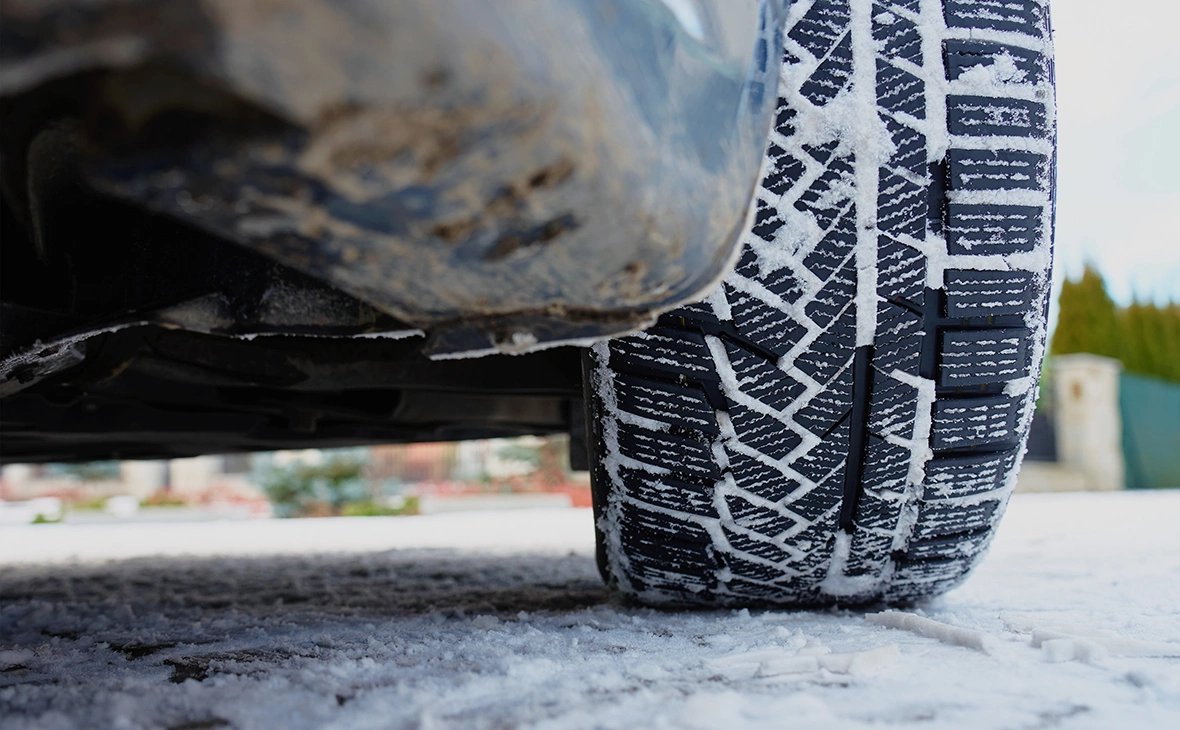 Lazy_Bear / Shutterstock