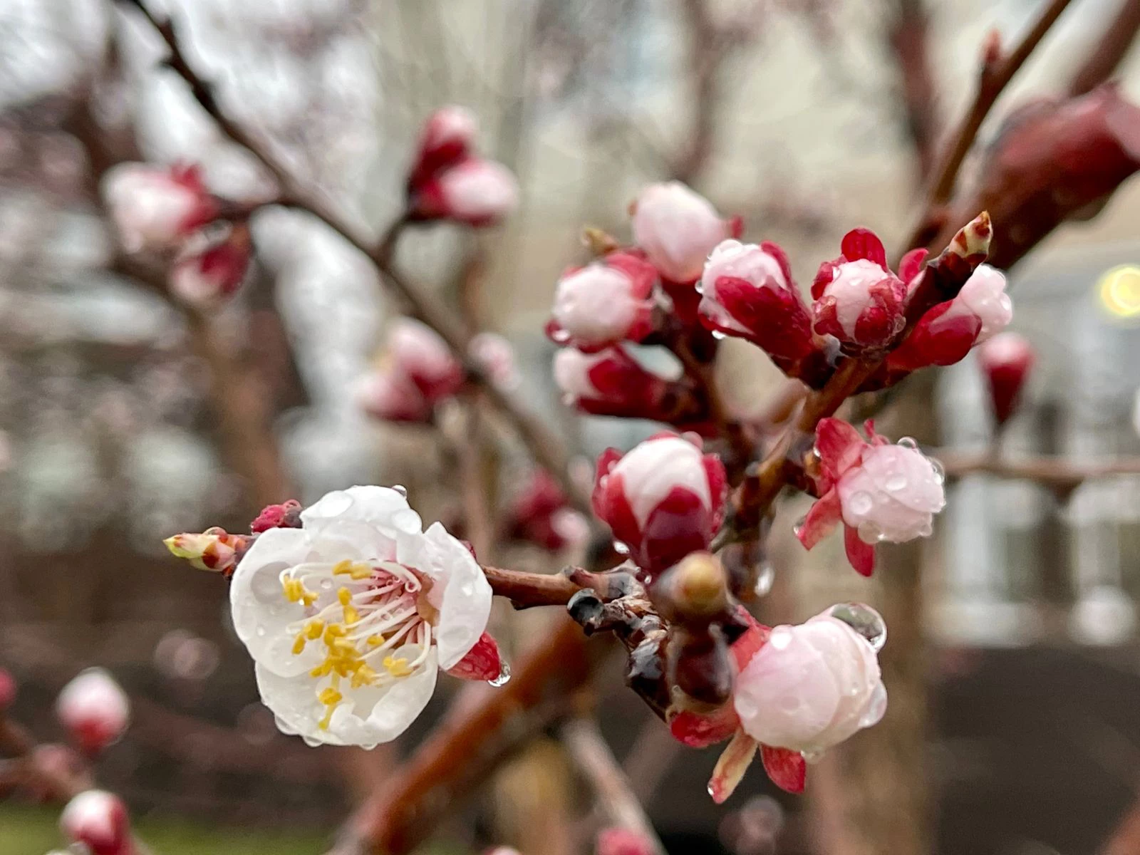 РБК Приморье