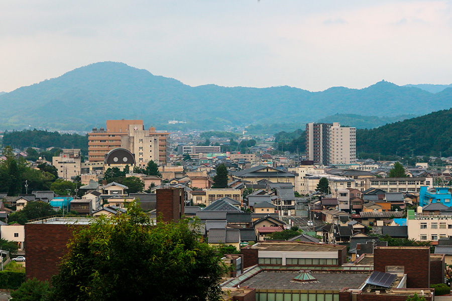 Фото: Yangxiong / Shutterstock