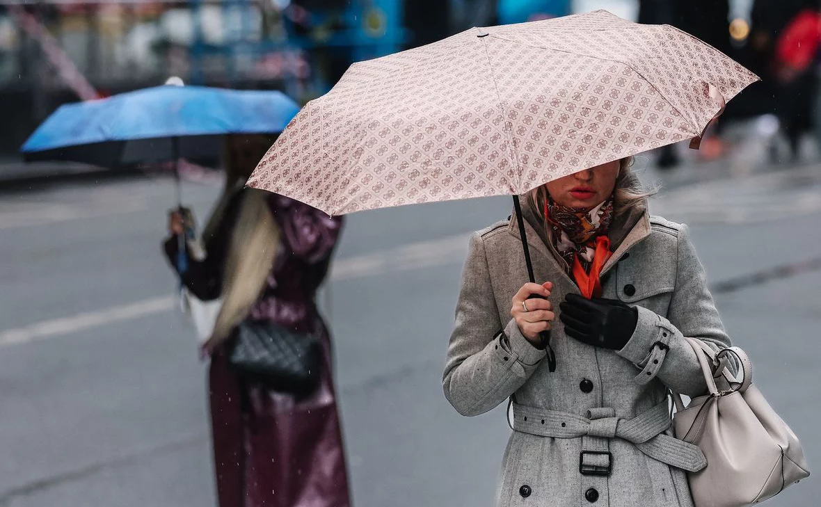 Андрей Любимов / РБК