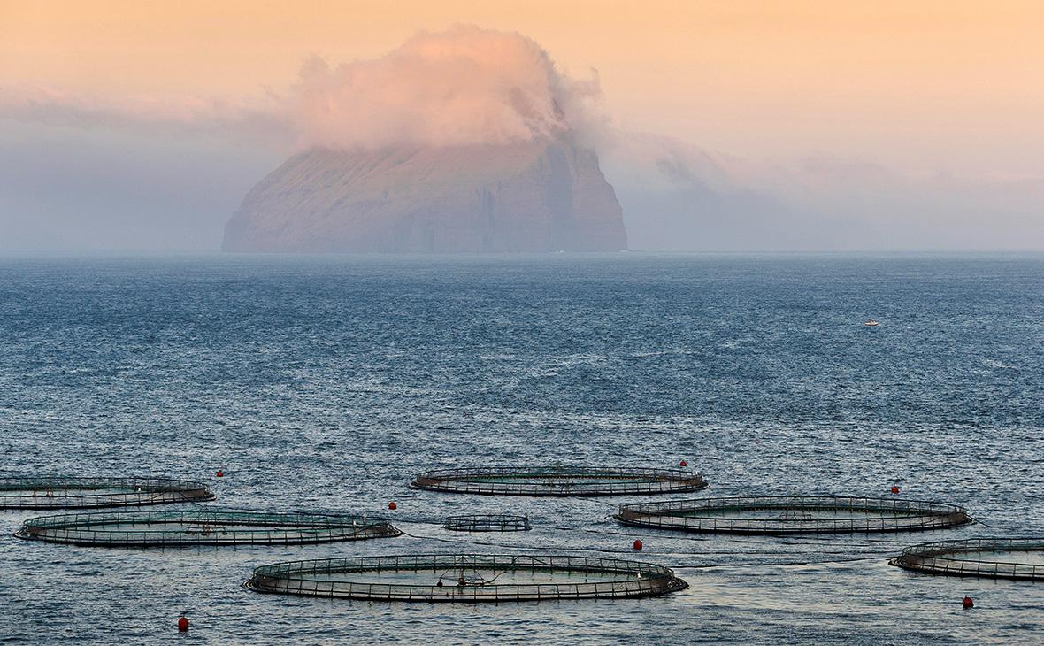 Рыбная ферма на&nbsp;Фарерских островах