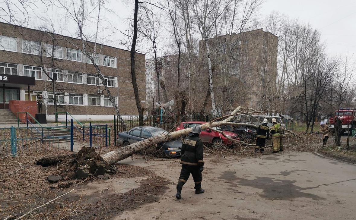 Коронавирус в Алтайском крае сегодня – сколько заболело, статистика,  последние новости