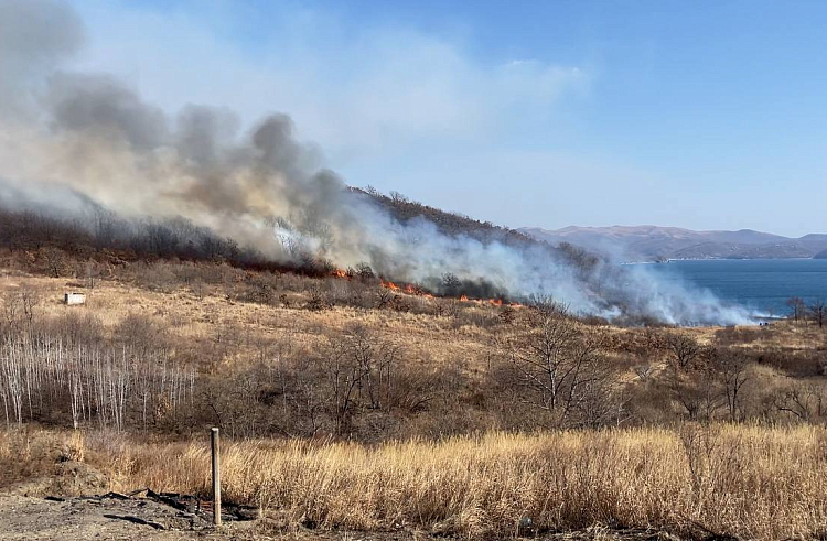 Правительство Приморского края