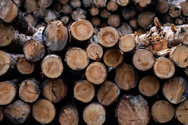 Анна Майорова / ИА URA.RU