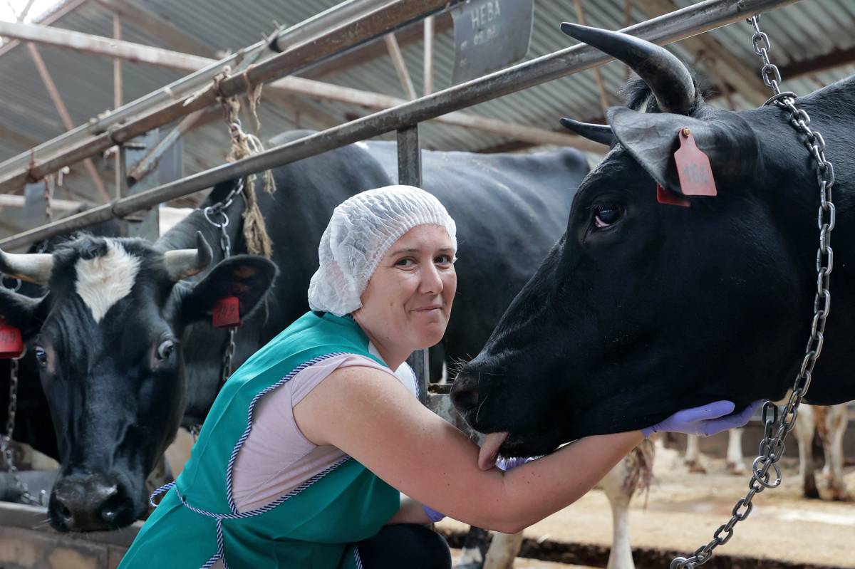 Фото: Портал правительства Вологодской области 