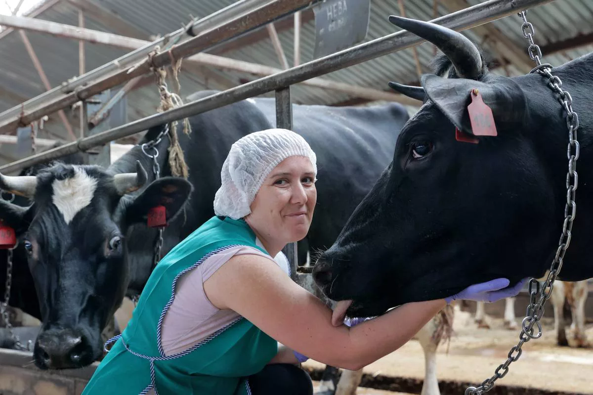 Портал правительства Вологодской области 