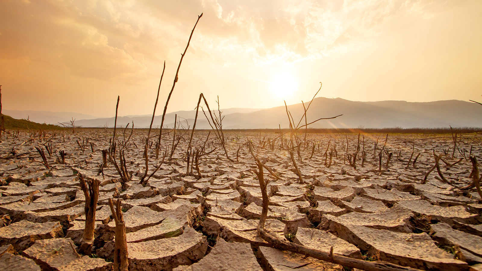 Жара и катаклизмы. Явление Эль-Ниньо может вернуться в 2026 году
