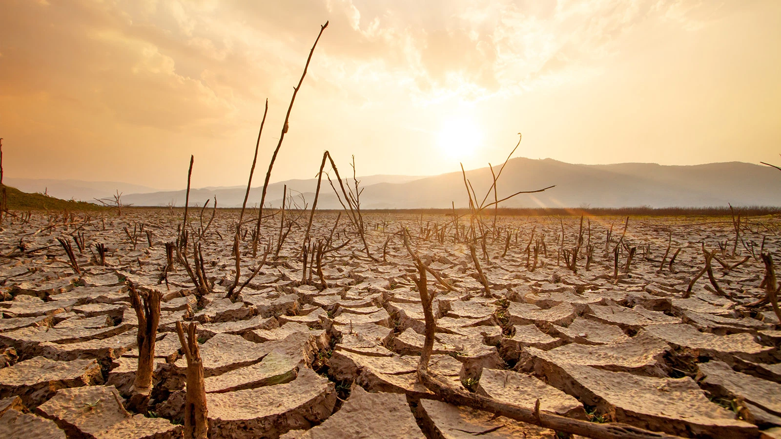 Жара и катаклизмы. Явление Эль-Ниньо может вернуться в 2026 году
