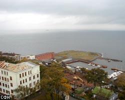 Владивосток: избирателей привлекают ценными призами