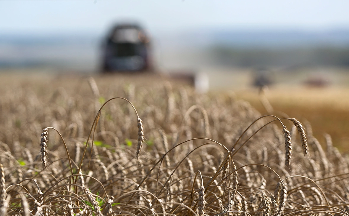Николай Гынгазов / ТАСС