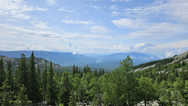 Фото: РБК Пермь