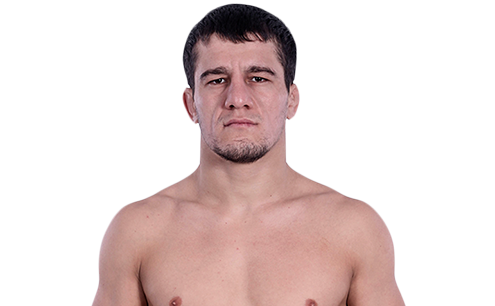 aca-mma.com