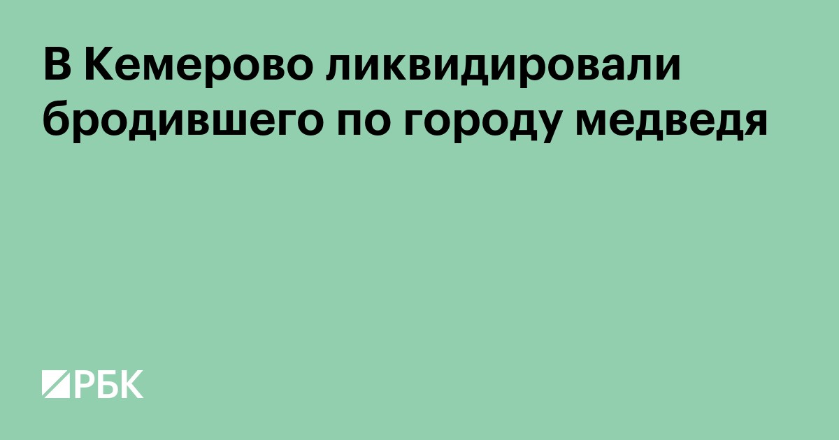 В Кемерово ликвидировали бродившего по городу медведя