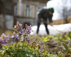 Петербург ждет летнее потепление