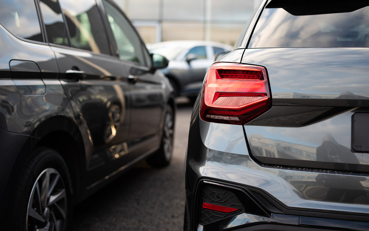 Фото: Wellnhofer Designs / Shutterstock / FOTODOM