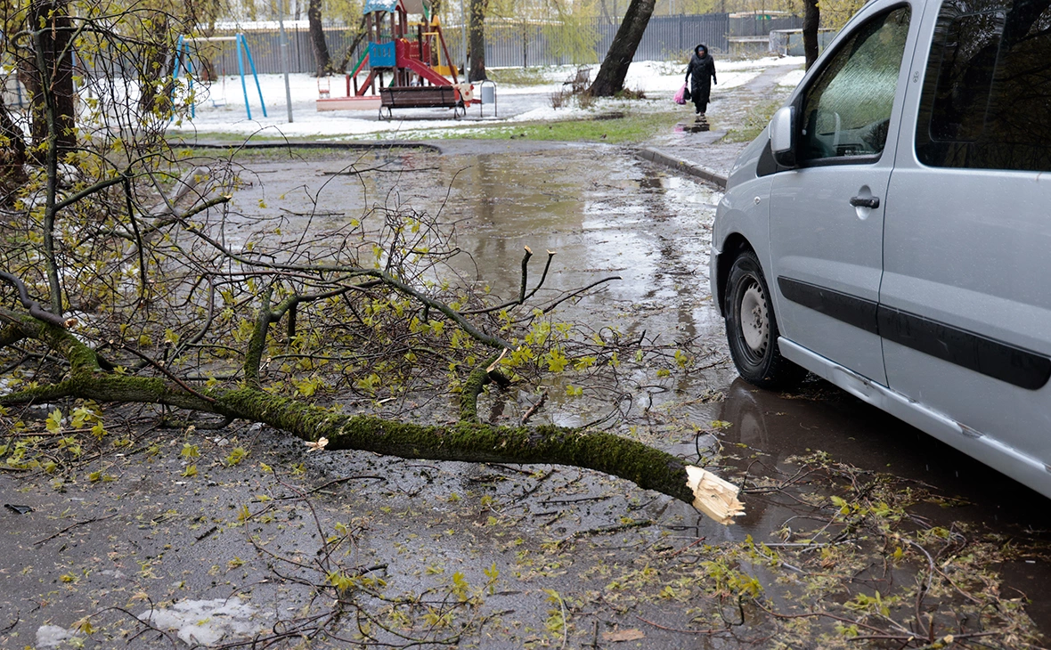 Михаил Гребенщиков / РБК