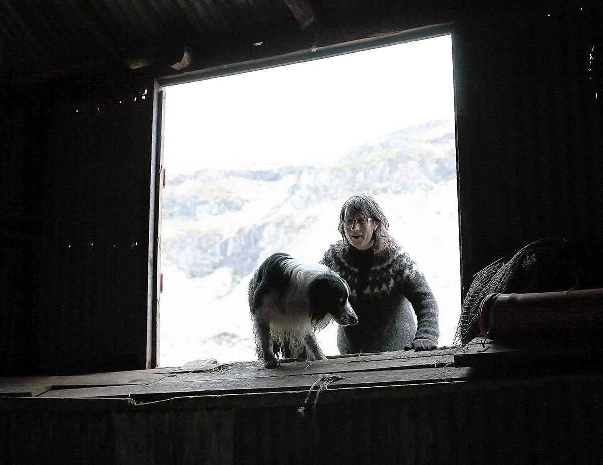 Зимой продукты, лекарства для животных и почту доставляют из ближайшей деревни на лодке. В это время Марсибил&nbsp;больше времени уделяет обучению овчарок, которых привозят к ней со всех близлежащих деревень. Собаки &mdash; ее самая большая страсть, и она отправляется на прогулки с ними каждый день, даже в самое снежное время. Она тренирует их каждый день.