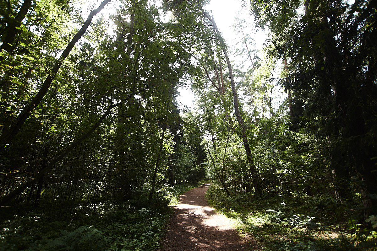 Александр Подгорчук