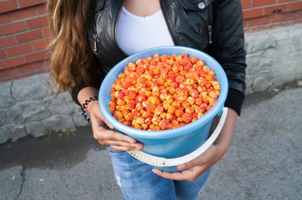 Вячеслав Егоров / РИА URA.RU