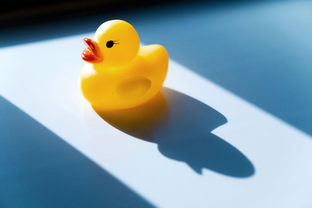 Фото: Se. Tsuchiya / Unsplash