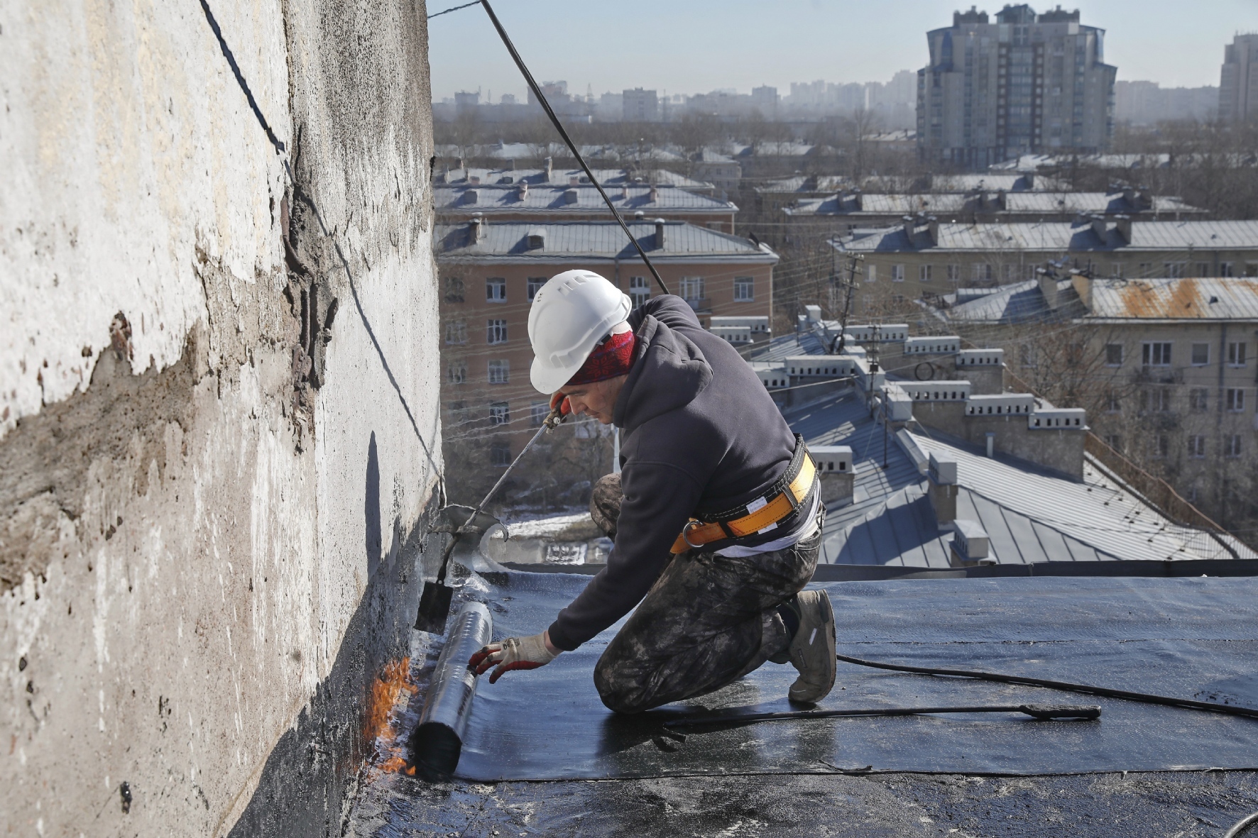 Фото: Холявчук Светлана / PhotoXPress.ru