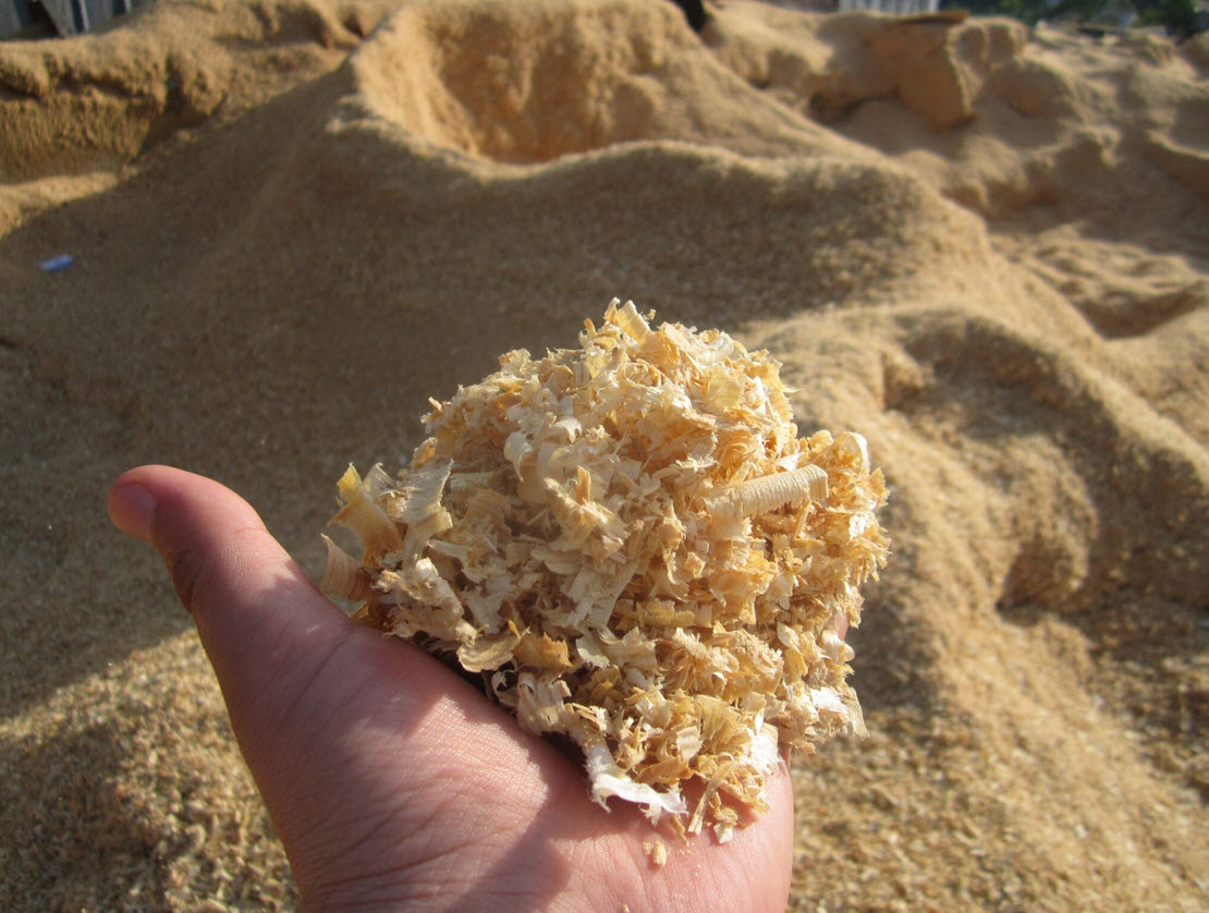 Фото: Наша стружка.рф