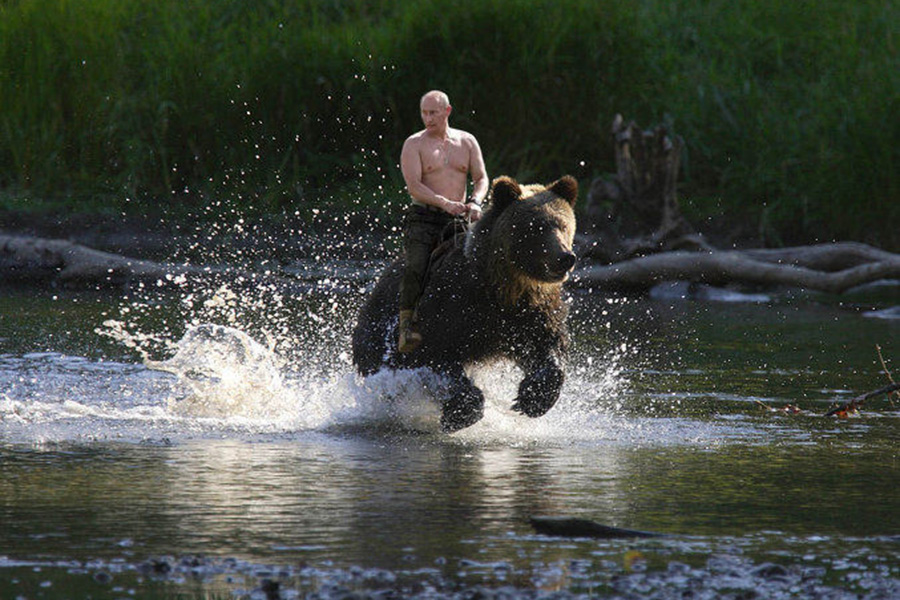 Путин прокомментировал свое фото словами «на медведе пока не скакал»