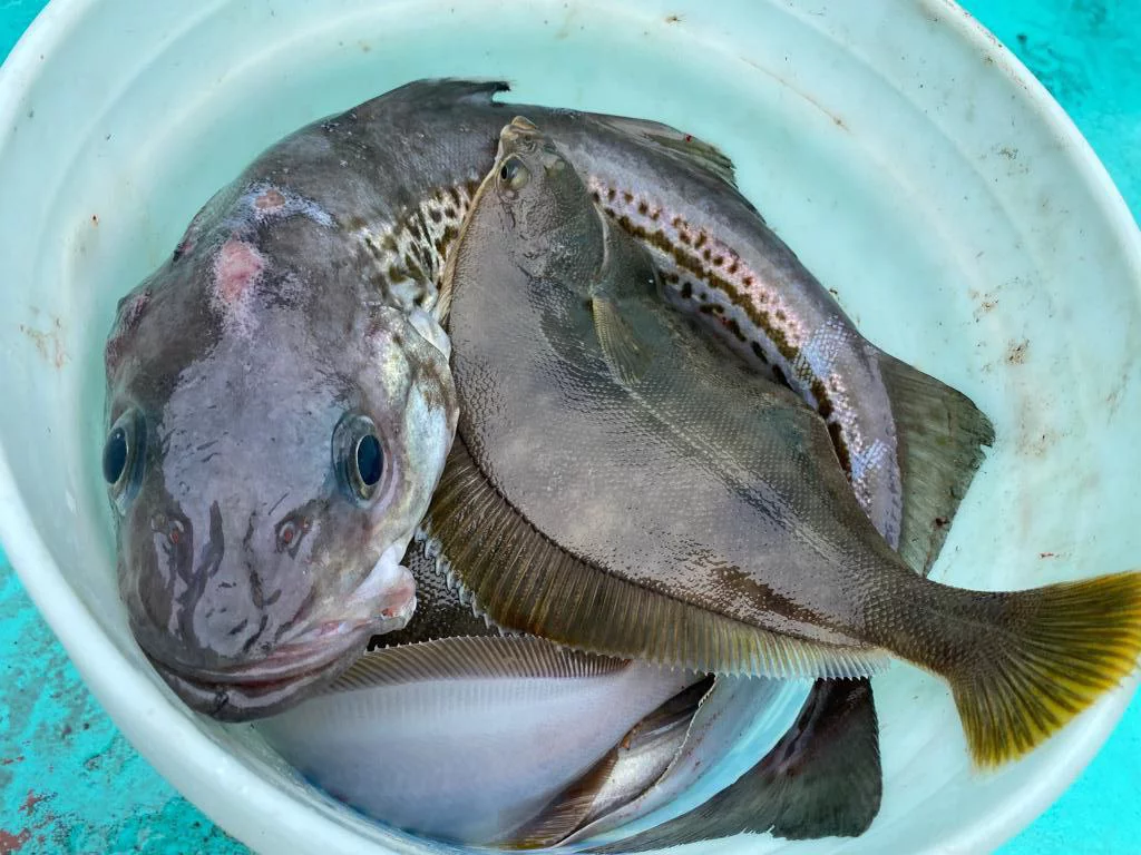 РБК Приморье 