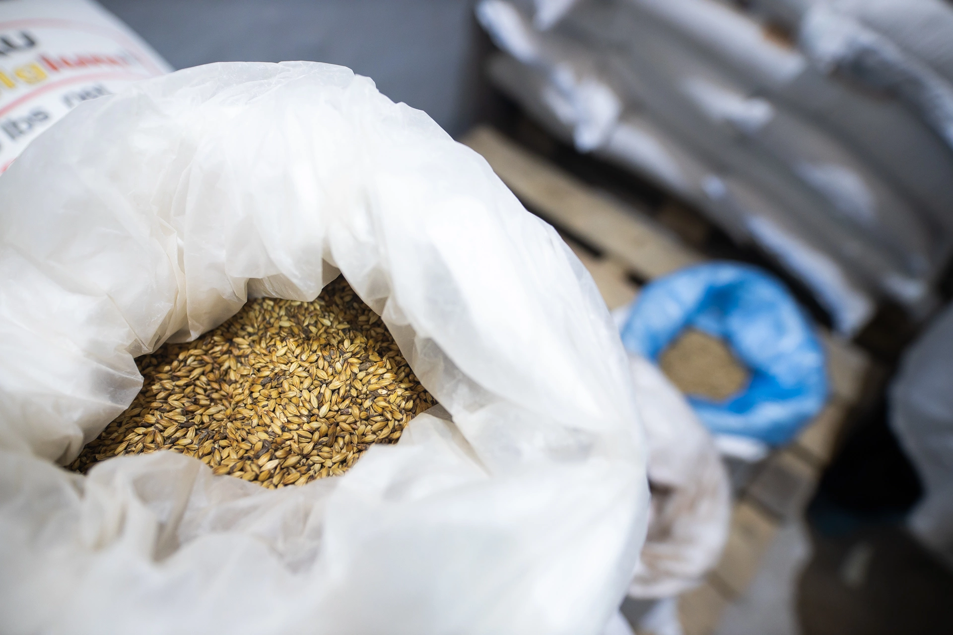 Александр Подгорчук