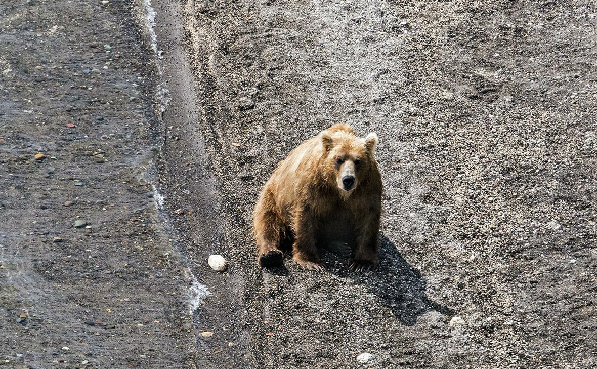 Фото: Сергей Фомин / Global Look Press